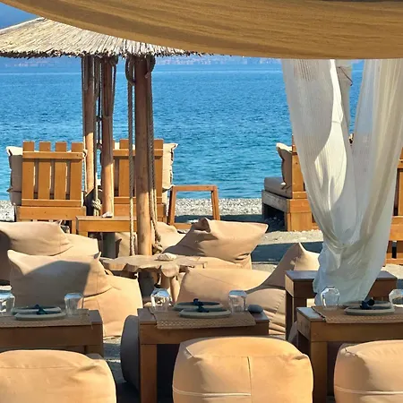 Apolonio Evia 4*