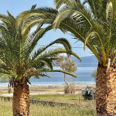 Apolonio Evia 4* Pefki (Evia)