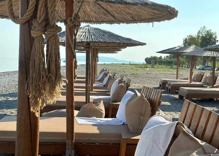 Apolonio Evia Pefki (Evia)