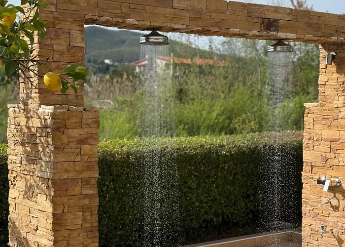 Apolonio Evia Pefki (Evia)